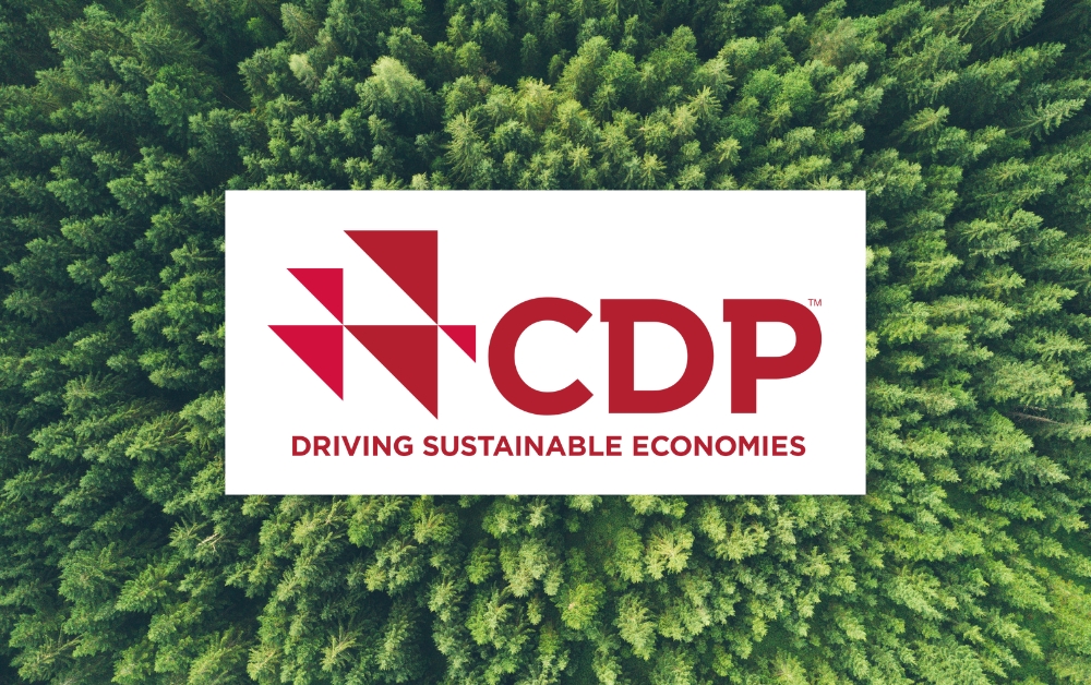 Image: CDP Logo over view of green trees