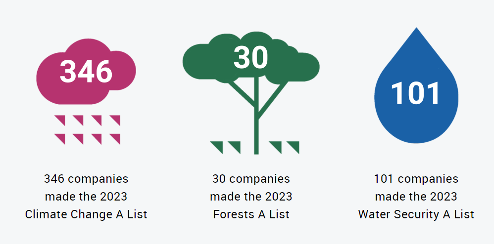 Image: A climate action diagram from the CDP